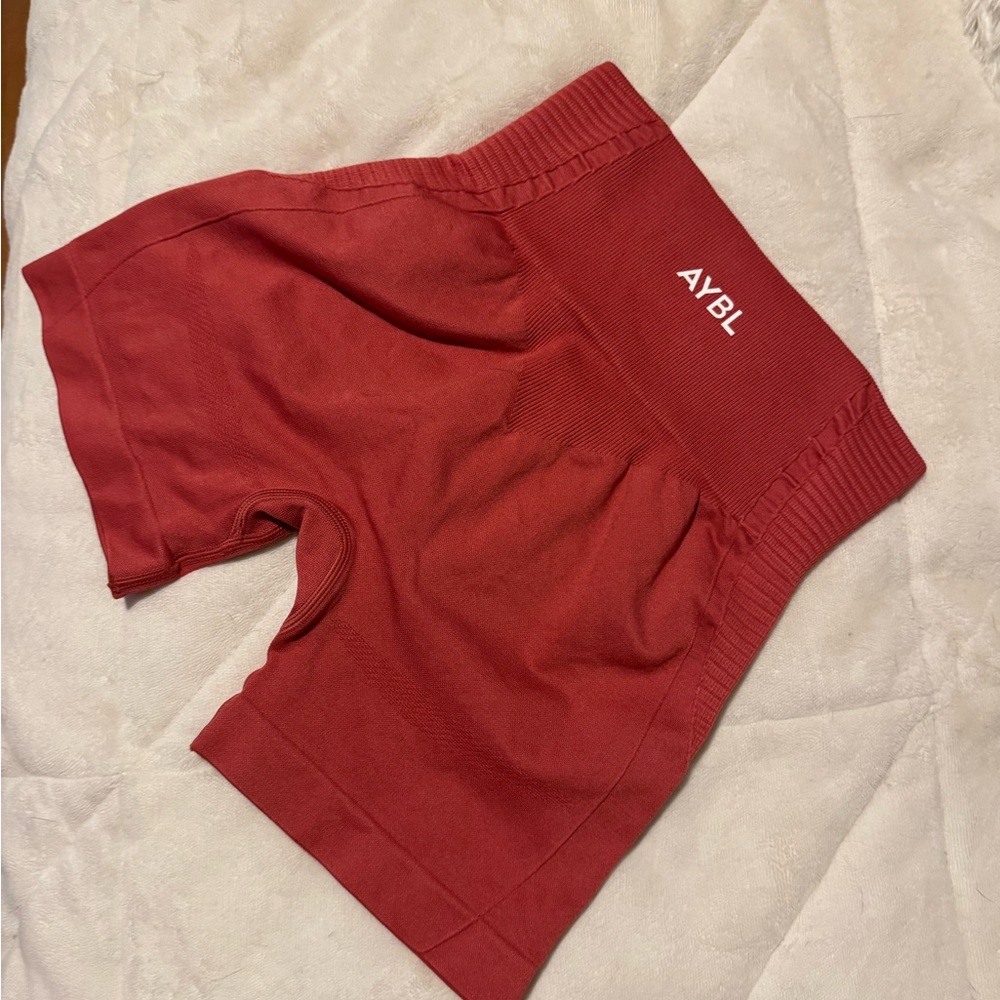 AYBL Dark Rose Pink Seamless Activewear